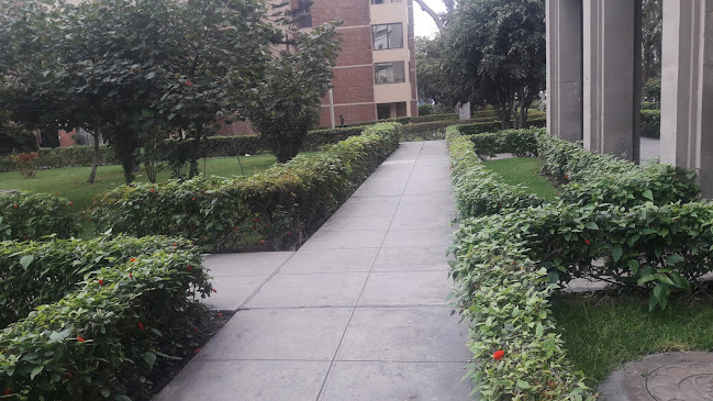 Clínica Dental Castillo - Lima