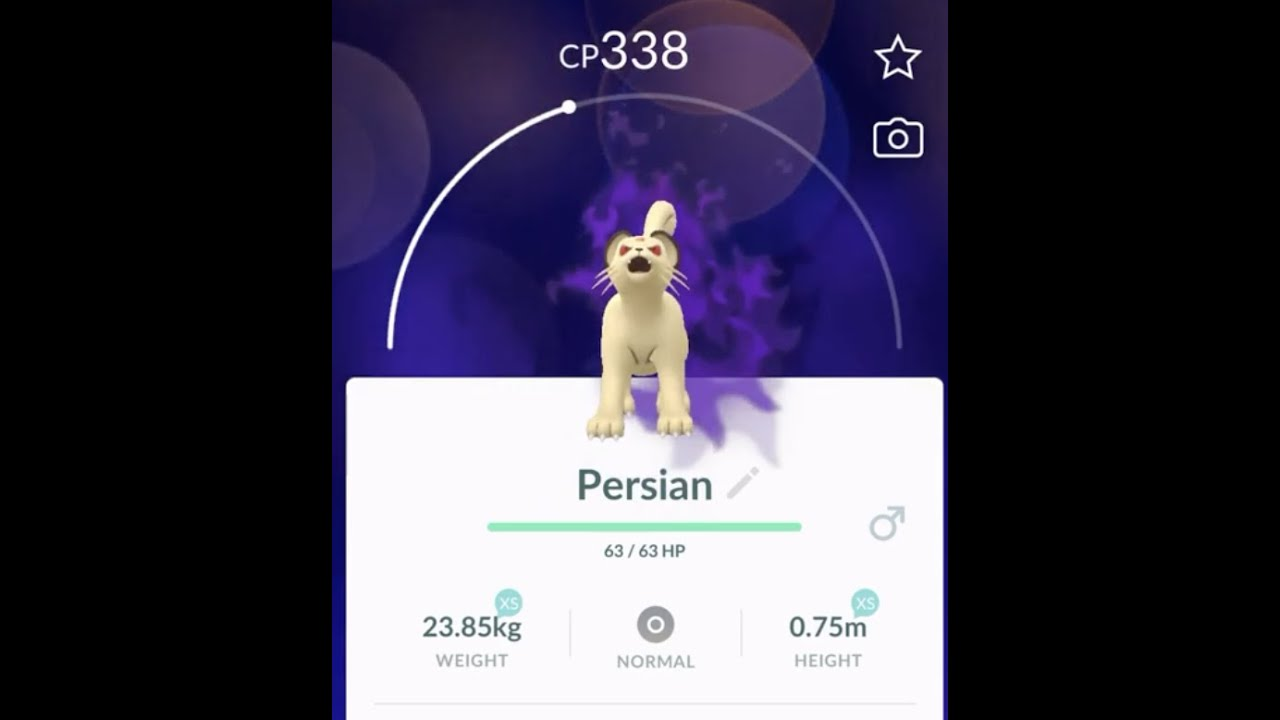 An image of the Shadow Persian owned by Giovanni in Pokémon GO.