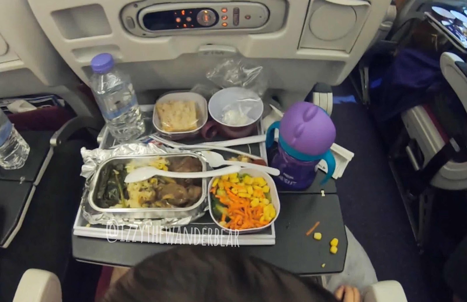 Izzy the Wander Bear - Thai Airways