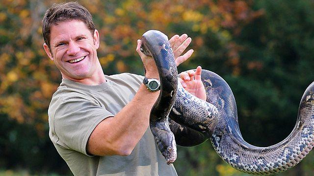 Image result for steve backshall