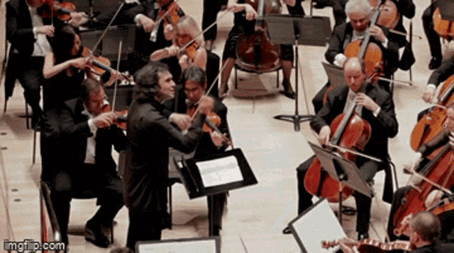 Orchestration of music GIF from the internet