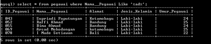 C:\Users\Aras\Documents\Tugas semester 1\Basis data\Tugas besar\7 Like, Order by, Grup By, Asc, Des\Like\Pegawai\Like 30.PNG