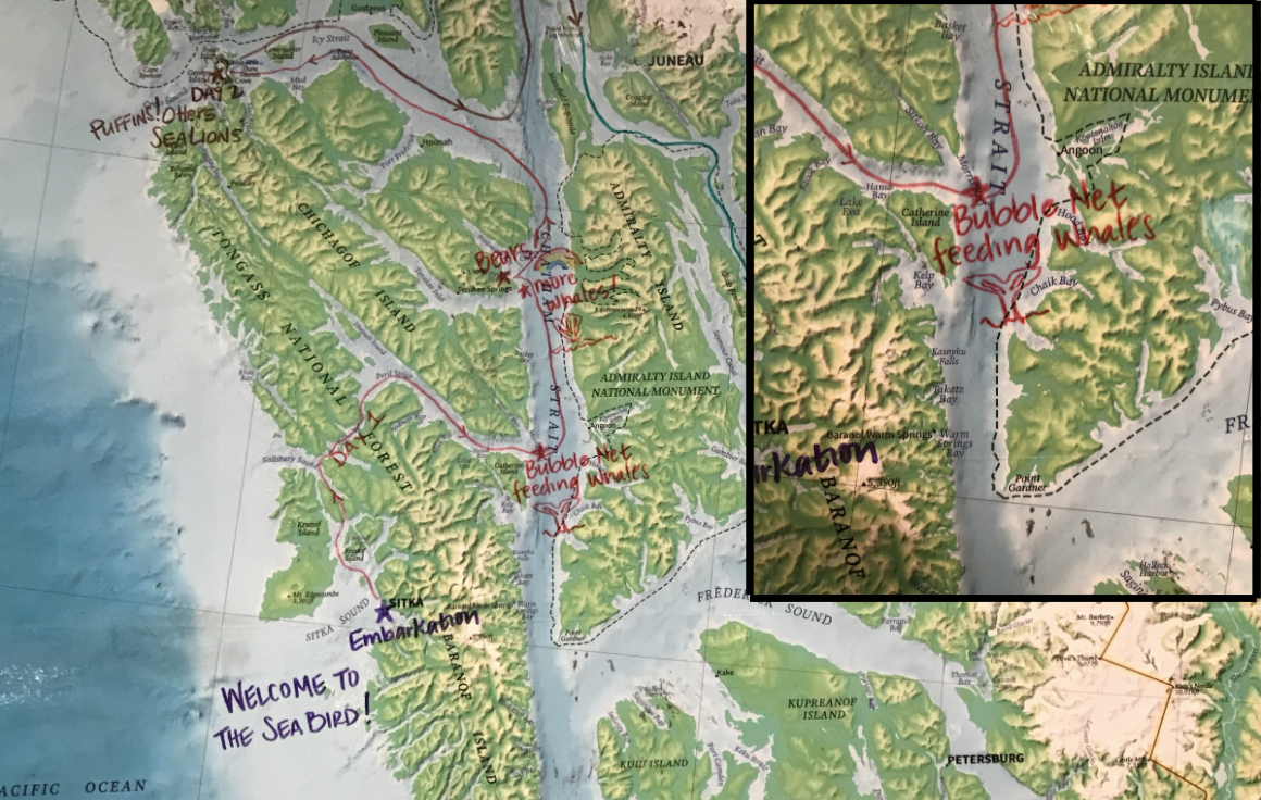 A colorful topographic map on which whale sitings are marked in sharpie marker.