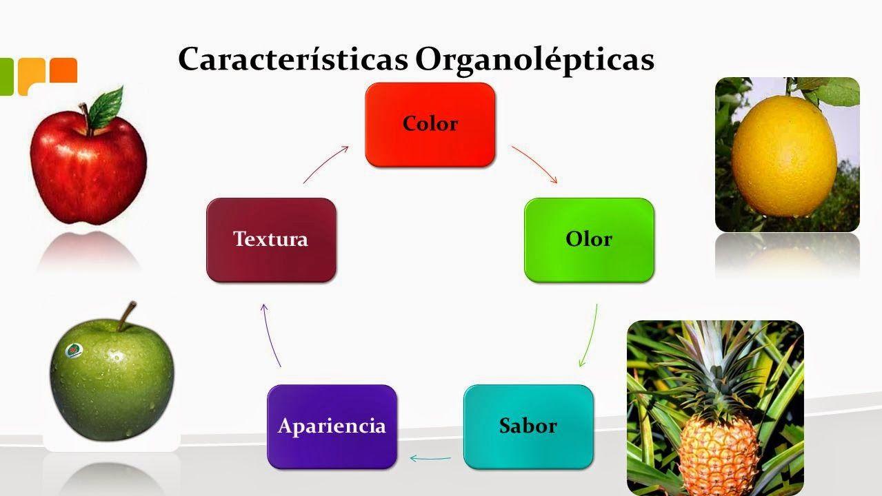 Descripción: Descripción: Resultado de imagen de propiedades organolepticas de l materia