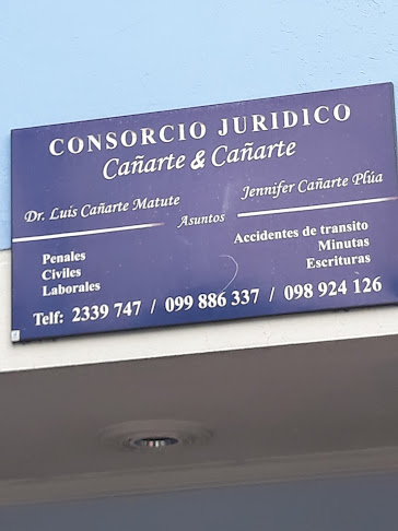 Opiniones de Consorcio Juridico Cañarte & Cañarte en Quito - Abogado