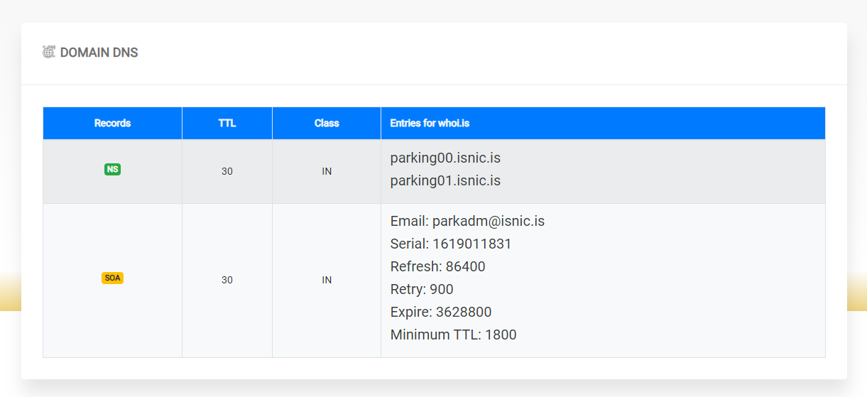 Step-by-step guide to performing a WHOIS nameserver lookup