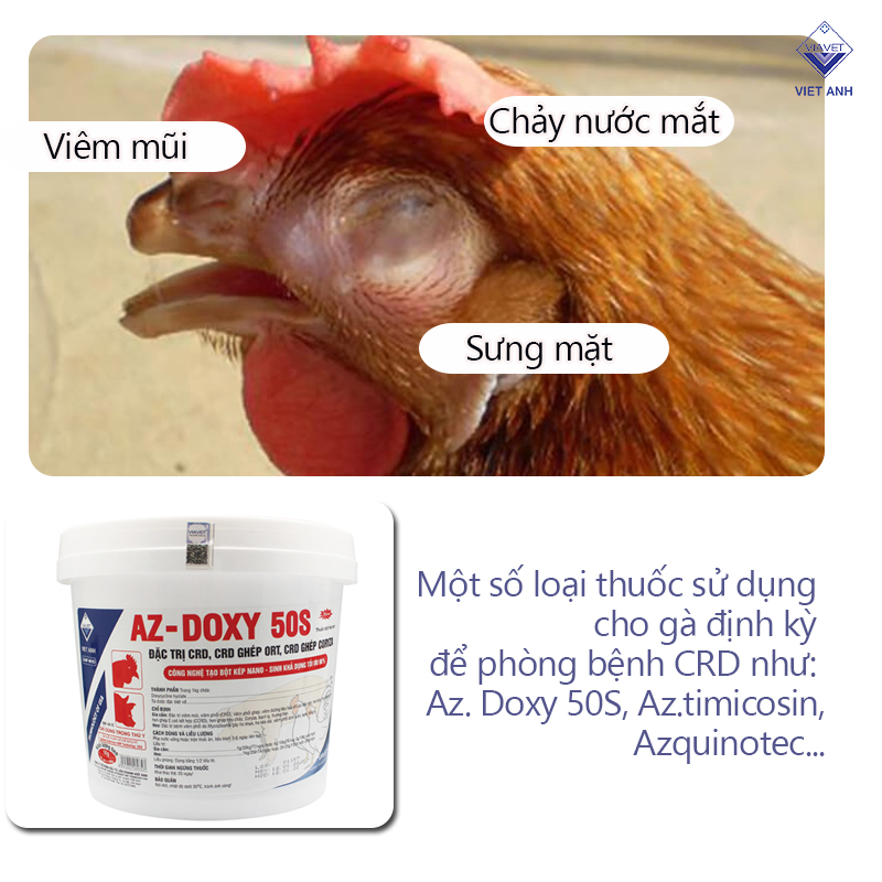 thuốc trị Bệnh hen, khò khè (CRD) ở gà