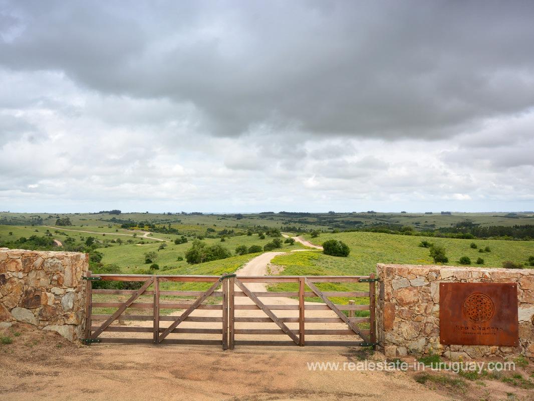 A gate to a field

Description automatically generated