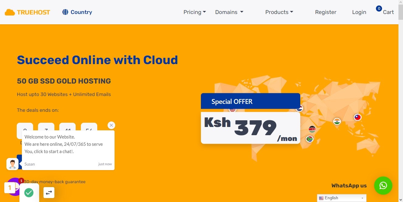 Go to truehost kenya to register a domain name