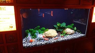 1569f70ebafce4.jpg