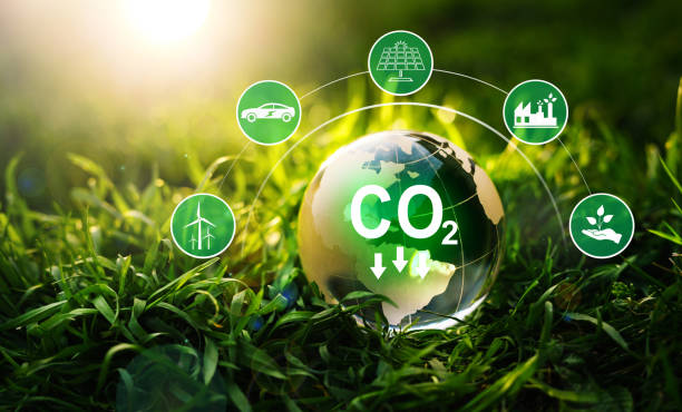 Build Climate Intelligent Solutions With This Carbon Calculator API  