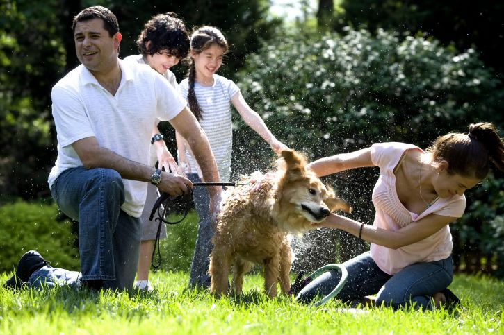 son, father, washing, dog