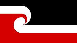 Image result for Maori party