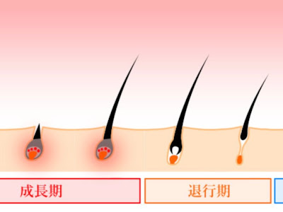 画像をダウンロード ブラジリアン ワックス かゆい 166917-ブラジリアンワックス かゆい