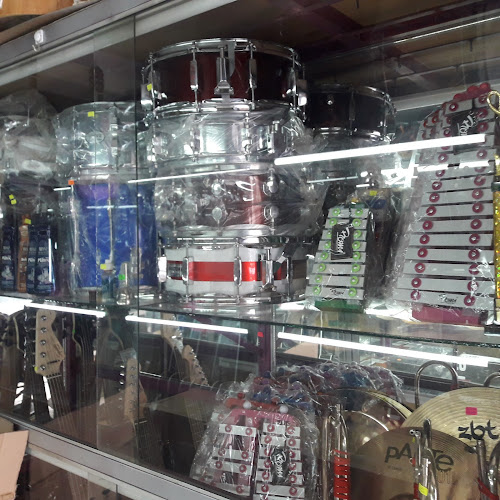 Alegre Instrumentos - Tienda de instrumentos musicales