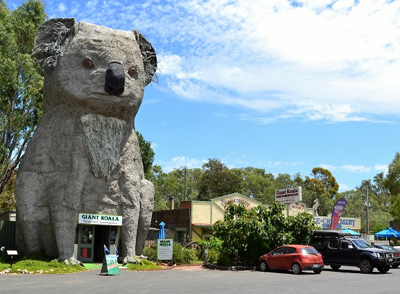The Giant Koala