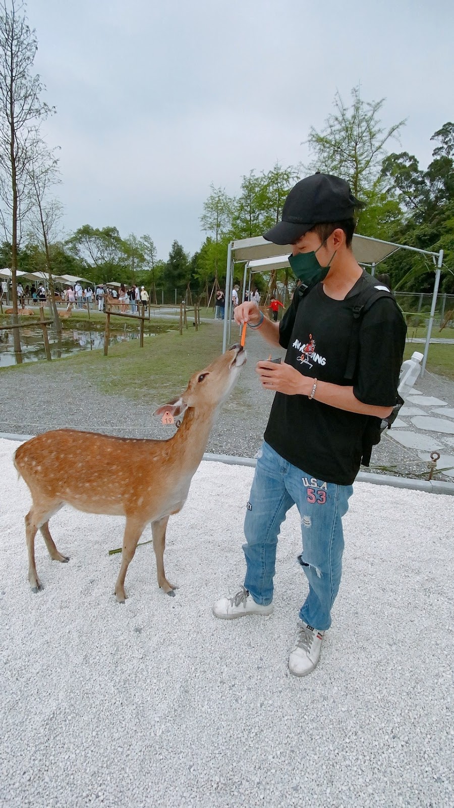 ▲餵食體驗▲