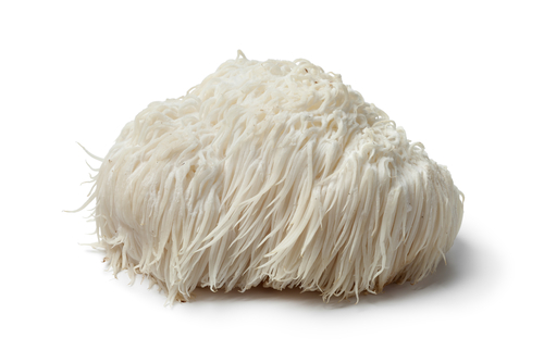 Lion’s Mane (Hericium Erinaceus) are large, white fungi that resemble a lion’s mane. Functional Mushrooms and Adaptogens