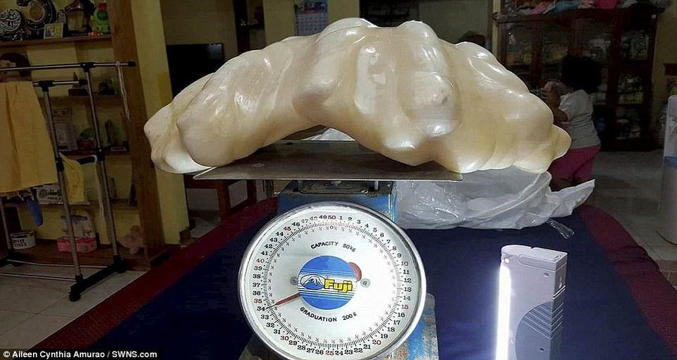 The nearly 75-pound pearl was found 10 years ago inside a clam. Approximately 2 feet long by 1 foot wide, it is valued at $100 million. Photo c@ Aileen Cynthia Amurao