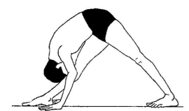 parshvottasan-Intense-side-stretch