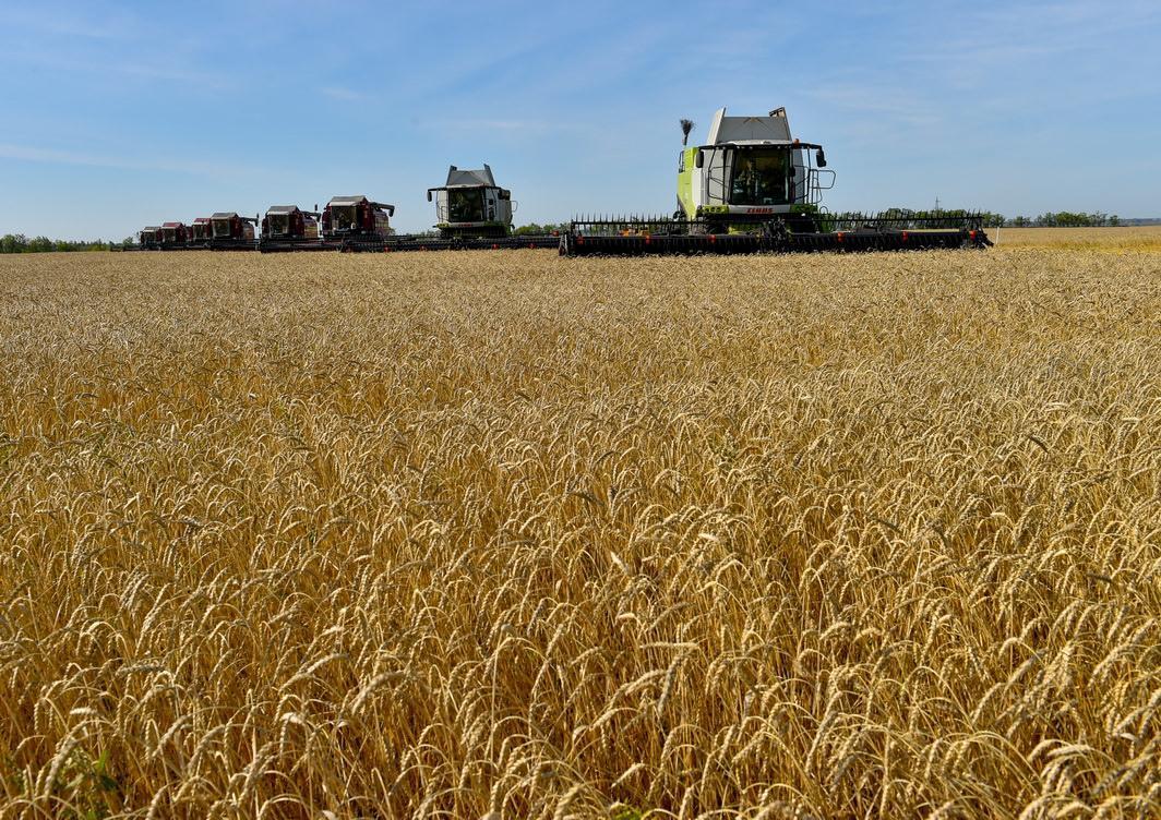 Ауыл шаруашылығы өнімдерін өндірушілер үшін ұсынылатын жаңа мүмкіндіктер:  субсидиялар және жеңілдікті несие түрлері қандай - Қазақстан Республикасы  Премьер-Министрінің ресми ақпараттық ресурсы