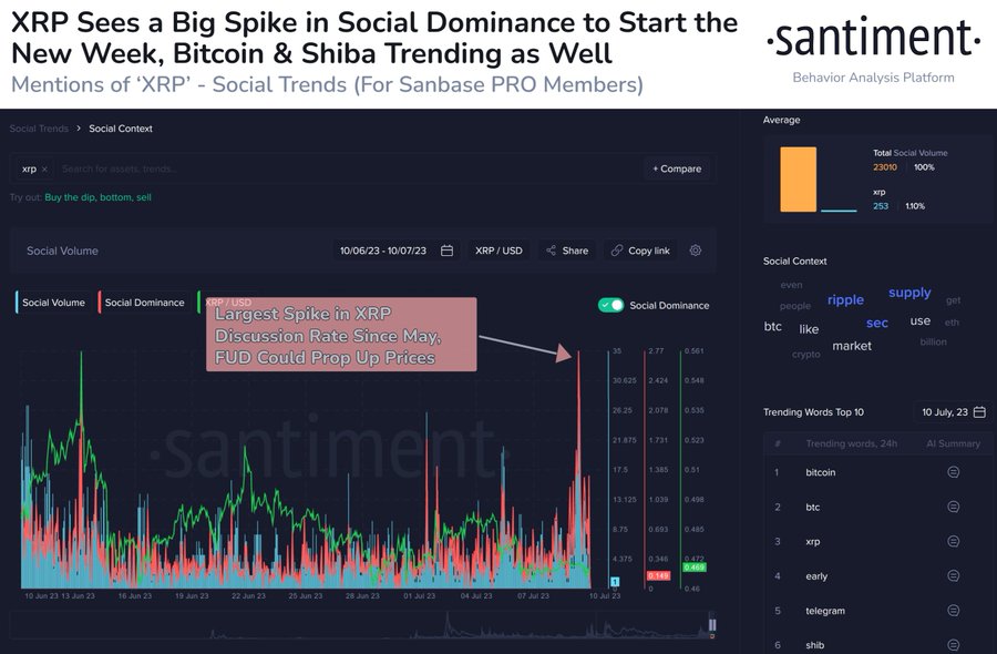 XRP network buzz explodes amid price decline; Is a massive bull run incoming?