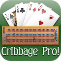 Cribbage Pro Online! apk