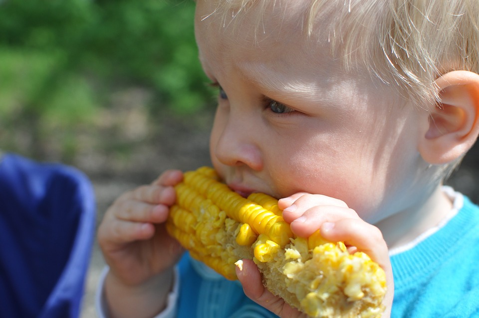 child eating corn.jpg
