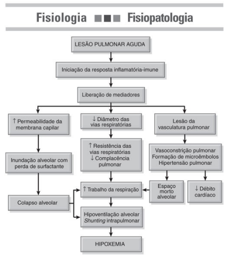 Diagrama

Descrição gerada automaticamente