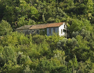 ΟΥΤΩΣ ΕΝ ΘΕΡΕΙ, ΟΥΤΩΣ ΕΝ ΧΕΙΜΩΝΕΙ ΔΙΑΚΑΡΤΕΡΕΙ.jpg