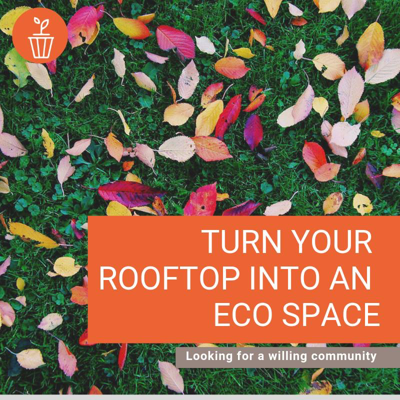turn your rooftop into an eco space