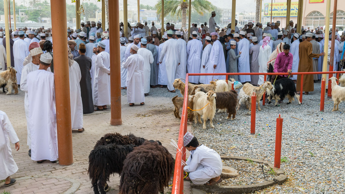 Goat Market in Nizwa, Oman