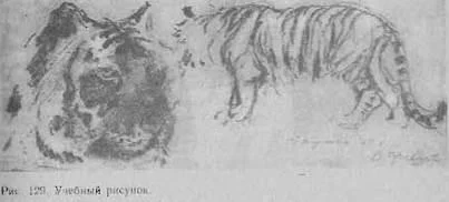 D:\0 wd yedek\acr yedek\1 film indirme\akademicheskiy_risunok2_files\image136.jpg