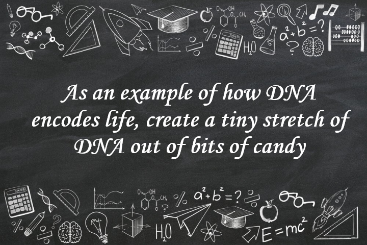As an Example of How DNA Encodes Life, Create a Tiny Stretch of DNA out of Bits of Candy