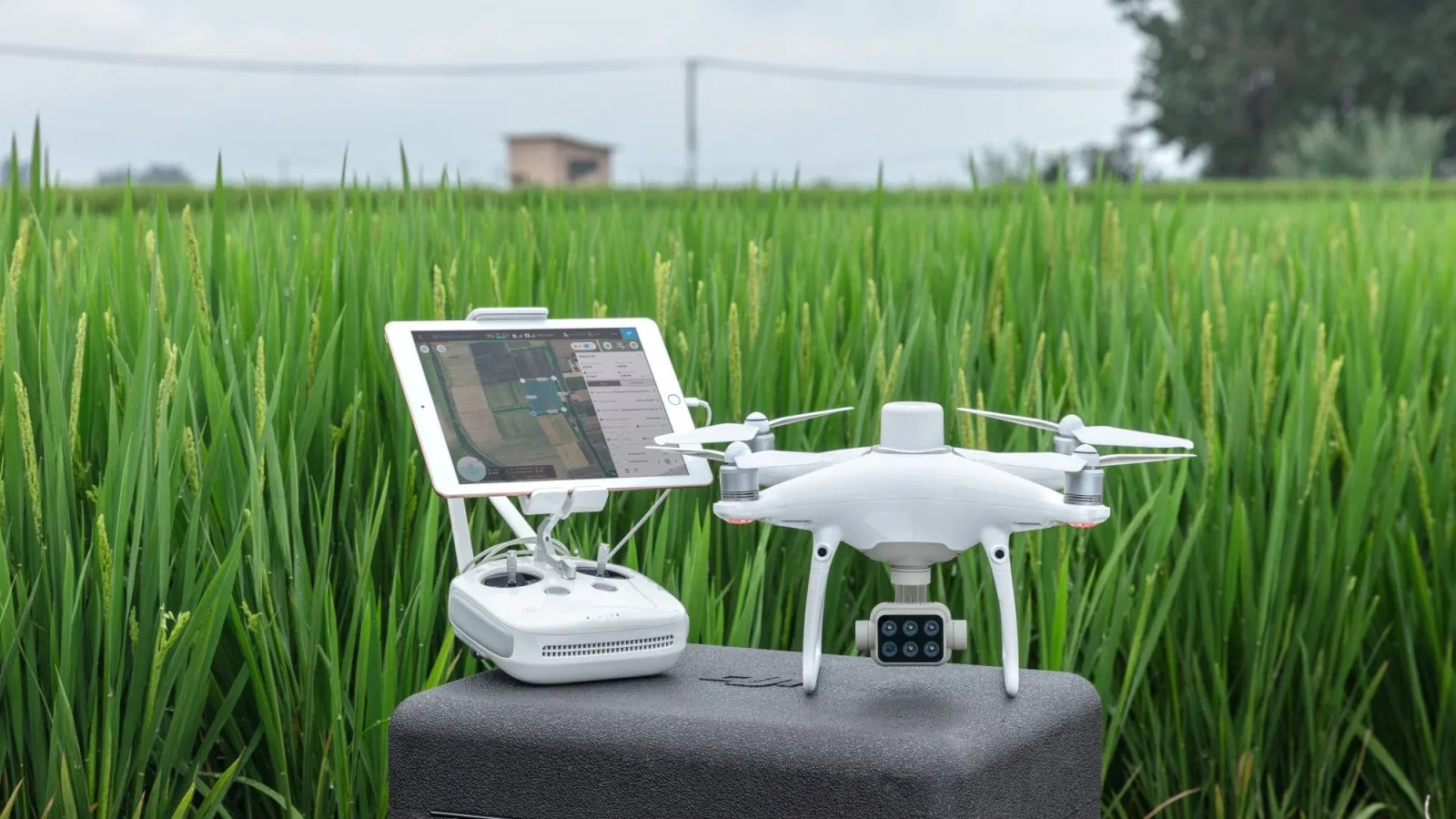 DJI P4 Multispectral drone for precision agriculture