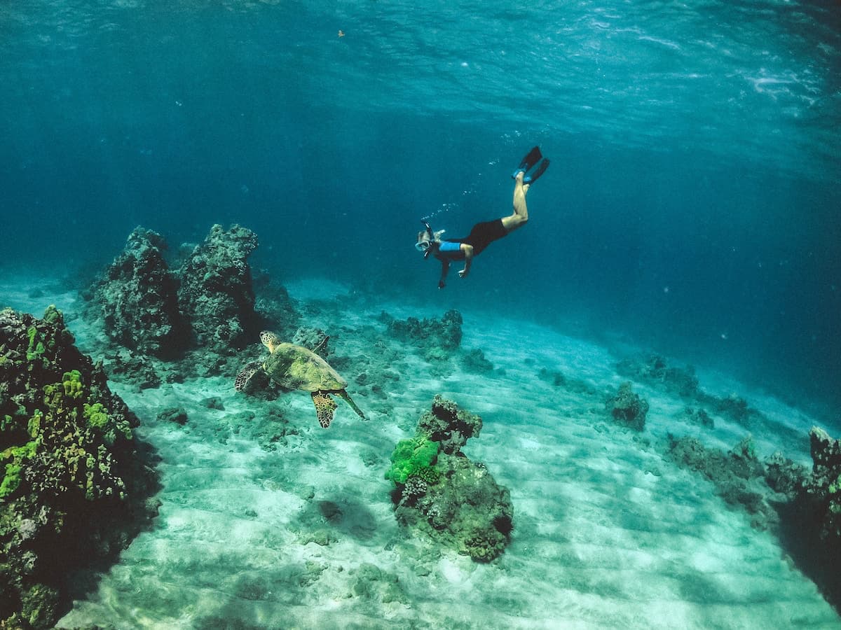 Man exploring the Underwater on Maui