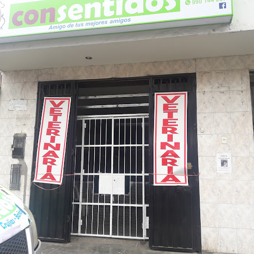 Veterinaria Consentidos - Los Olivos - Veterinario