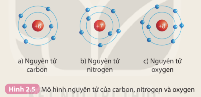 Câu hỏi trang 17 SGK TN&XH 7 KNTT tập 1