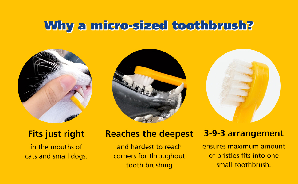 韩国 PETHROOM 宠物牙齿清洁牙刷中号 2 p