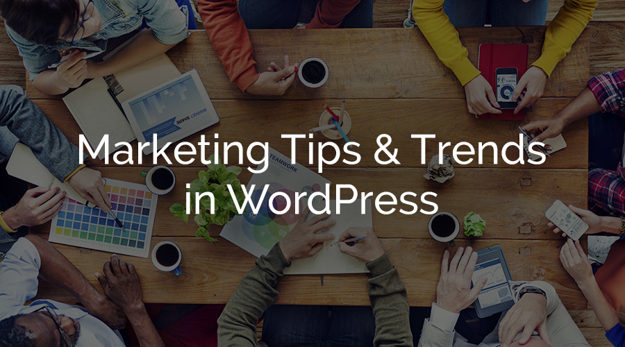 Dicas e tendências de marketing do WordPress