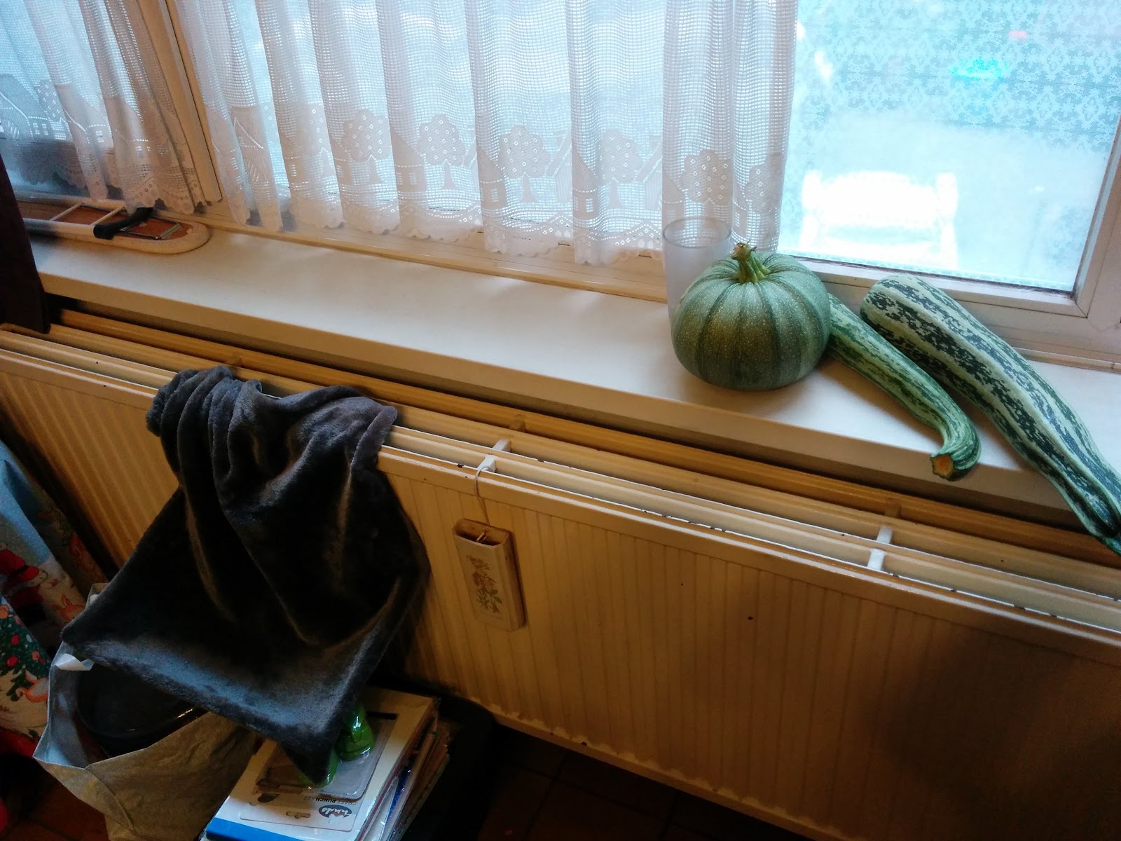 IMG_20150819_073840.jpg