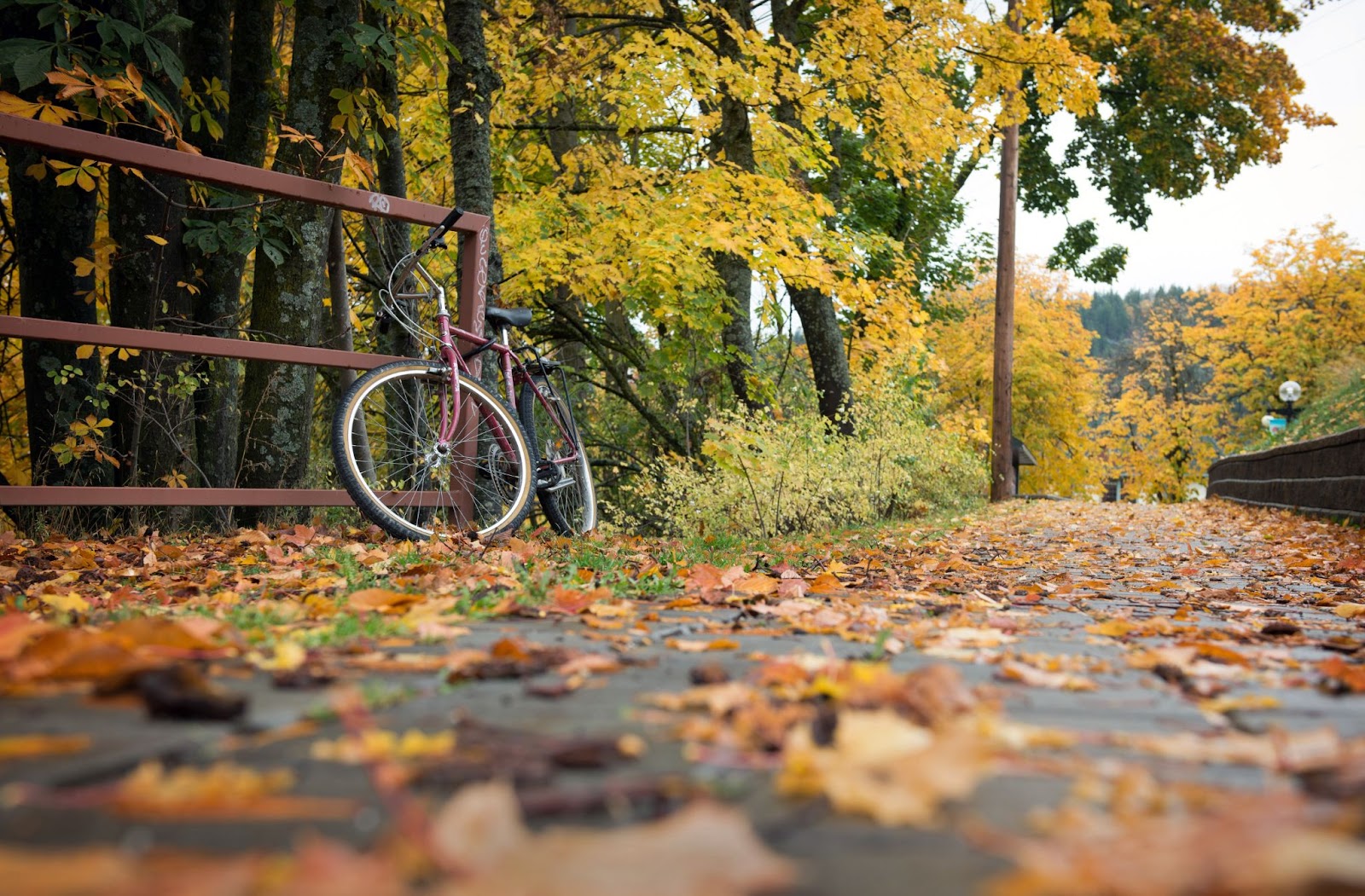 Fall bike rides in Vancouver