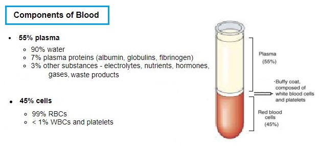 Functions of Blood and its main components