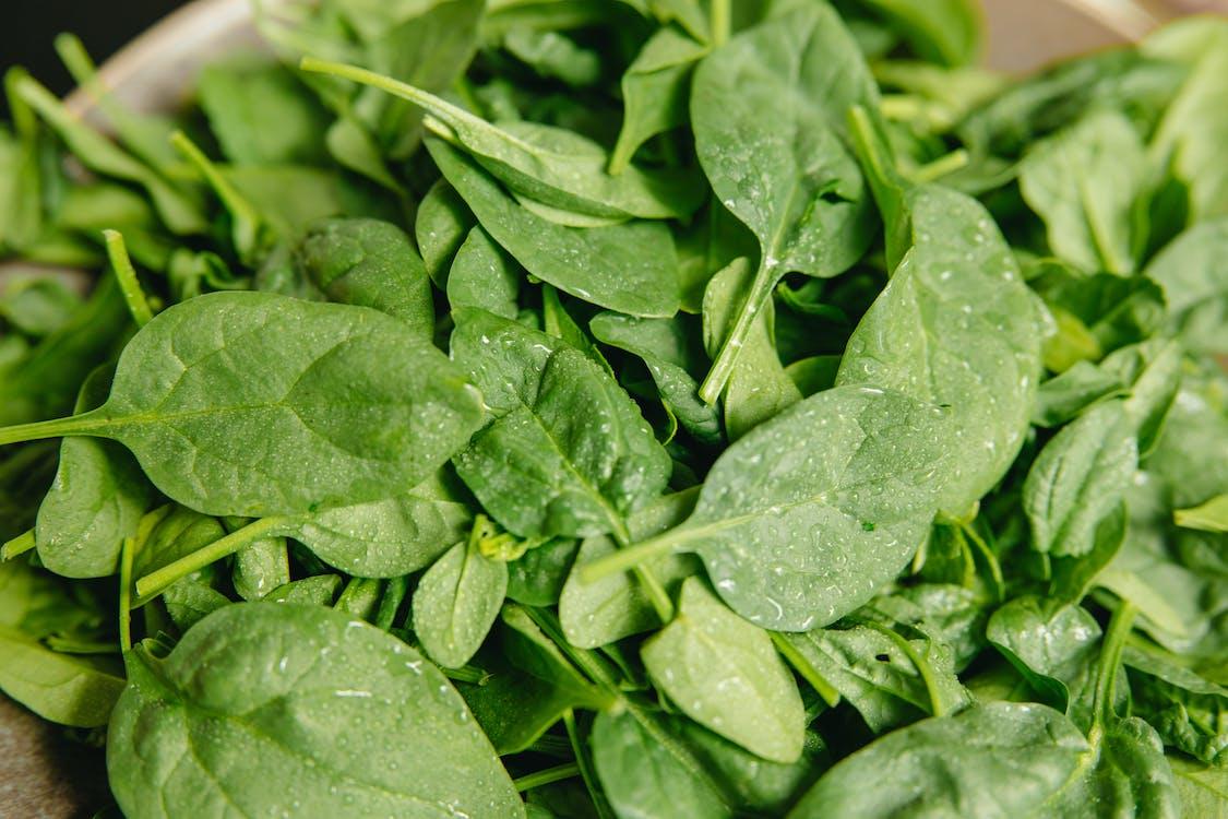 Free Green Leaves in Close Up Photography Stock Photo