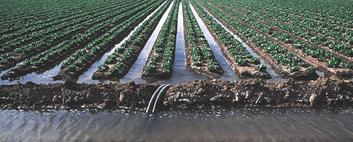 IRRIGATION SYSTEMS: TYPES AND THEIR BENEFITS 2