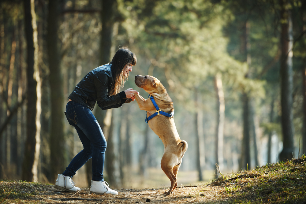 Top 10 Dog Parks In Canada 9