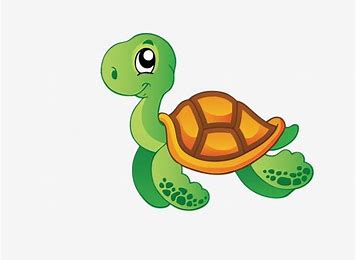 Resultado de imagen de tortuga dibujo