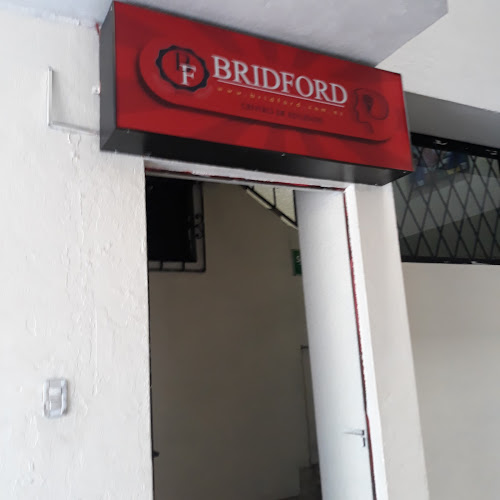 Bridford - Quito