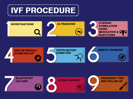 ivf4mohali2.png