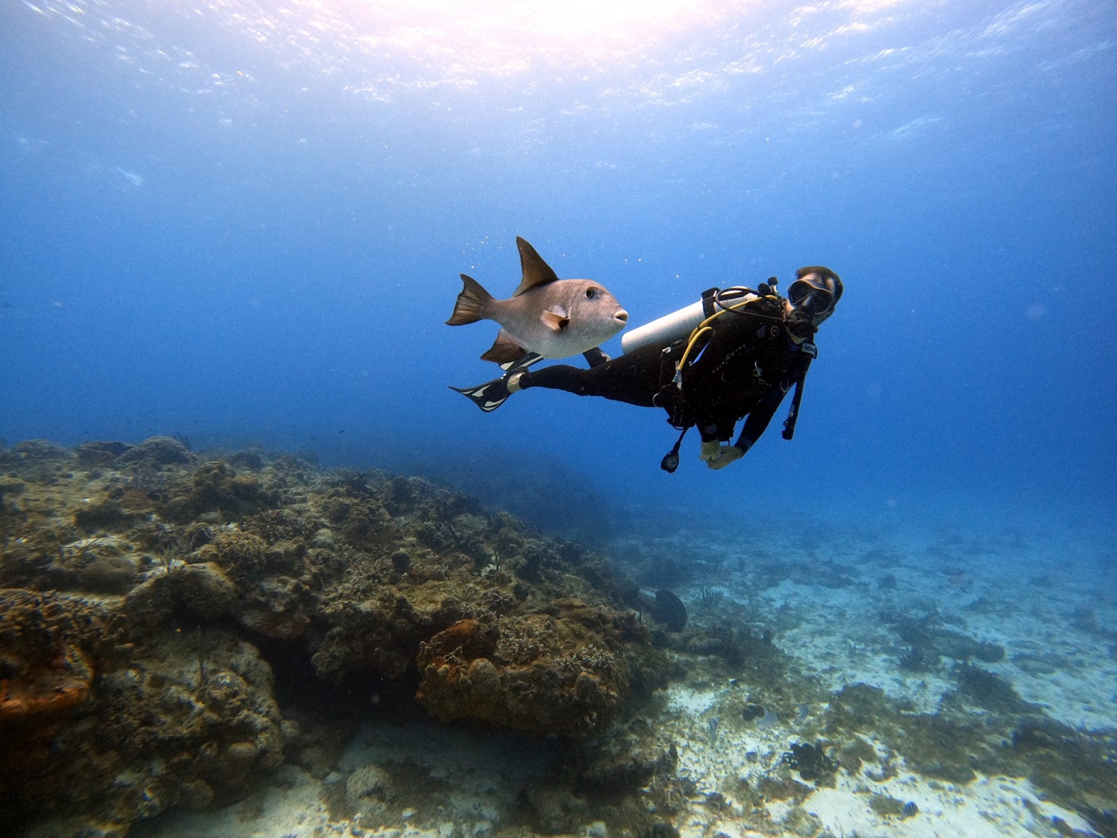 Scuba diving in Tamarindo Costa Rica